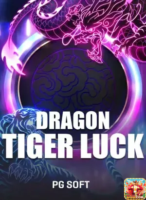 Experiência de Jogos dj5.com